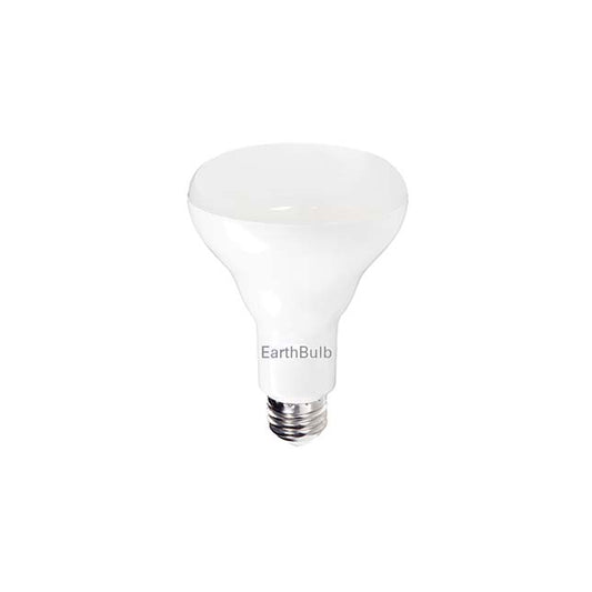 LED BR30 EarthBulb